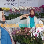Pengunjung Batu Shining Orchids Week 2023. Foto: ADI WIYONO/BANGSAONLINE