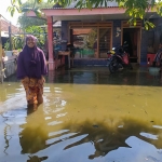 Rumah warga yang terendam banjir. (foto: ist)
