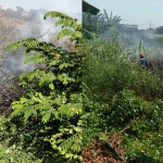 Kebakaran di dua lokasi lahan kosong yang berada di Sidoarjo.