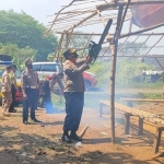 Petugas sedang membongkar tempat judi sabung ayam di Dusun Jurangsari, Desa Lolawang, Kecamatan Ngoro, Kabupaten Mojokerto.