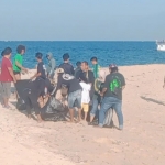 Ratusan Bonek dari berbagai daerah di Jawa Timur saat bersih-bersih pantai di Desa Gili Kecamatan Sumberasih, Kabupaten Probolinggo, Minggu (16/5).