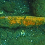 Meriam yang ditemukan oleh nelayan di Banyuwangi.