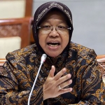 Tri Rismaharini, Menteri Sosial.