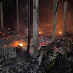 Kondisi kandang ayam milik Sugianto, warga Kelurahan/Kecamatan Nglegok Kabupaten Blitar, usai dilalap api.