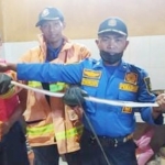 Tim Damkar Kabupaten Sumenep usai berhasil mengevakuasi ular jali atau Ptyas korros di rumah warga.