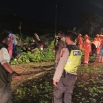 Petugas kepolisian saat mengevakuasi pemotor yang tewas tertimpa pohon tumbang di Jalan Raya Ketapang Sidoarjo.