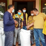 BORONG PADI PETANI: DPD Golkar Sidoarjo membeli beras dari petani di Desa Simoangin-angin Wonoayu, Selasa (13/4). foto: MUSTAIN/ BANGSAONLINE