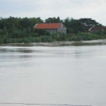 Kondisi debit air sungai Bengawan Solo terus meninggi hingga meluap dan merendam rumah warga. foto: SYUHUD/ BANGSAONLINE
