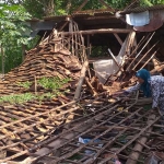 Salah satu rumah warga di Tuban ambruk terdampak gempa bumi.