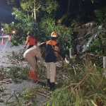 Salah satu bencana tanah longsor yang menyebabkan pohon tumbang di Pandanrejo, Bumiaji, akhir September 2020 lalu.