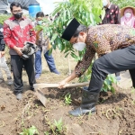 Bupati Sidoarjo, Ahmad Muhdlor Ali, saat meresmikan Kampung Kelengkeng Simoketawang, Kecamatan Wonoayu.