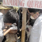 Wali Kota Masud Yunus memastikan kondisi kesehatan kambing kurban. Tahun ini ditemukan banyak hewan kurban tak sesuai syariat dijual pedagang nakal.