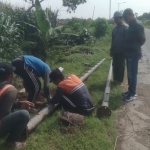Petugas PLN saat memasang tiang listrik untuk permukiman warga terdampak proyek bandara di Kabupaten Kediri. Foto: Ist