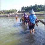 Warga Desa Baron Kecamatan Dukun ketika menyeberangi sungai Bengawan Solo yang mulai mengering. foto: ist.