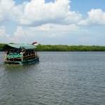 ?Perahu gondang gandung saat mengantar wisatawan menyisir hutan mangrove atau menyeberang dari Blok Bedul ke Blok Solo, atau sebaliknya. Foto:rosihan c anwar/bangsaonline