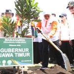 Menteri LHK, Gubernur Jatim, para pejabat di Kementrian Lingkungan Hidup dan Kehutanan, melakukan penanaman pohon Macadamia.