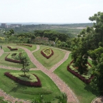 Area Arboretum Bukit Daun dan Hutan Reklamasi Pasca Tambang Batu Kapur di Pabrik Tuban. (foto: ist).