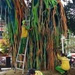 Petugas DKP Kota Malang sibuk menghapus cat yang sudah ada di pohon beringin di Alun-alun Kota Malang.

