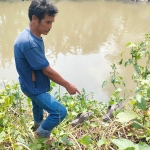 Salah satu warga menujukkan sandal yang diduga milik kakek korban tenggelam di Sungai Kepung, Desa Temu, Prambon, Sidoarjo, Jumat (7/10/2022).