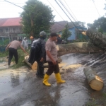Petugas gabungan saat memotong pohon yang tumbang di Jalan Raya Pare - Wates. Foto: Ist.