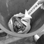 Janin Bayi yang ditemukan di tong sampah depan kos milik Raharjo, Benowo, Surabaya.