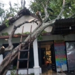 
Kondisi rumah warga yang rusak akibat angin kencang
