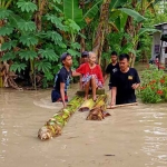Korban banjir di Desa Sobontoro, Kecamatan Balen, Sabtu (26/11/2022) kemarin