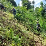 Aksi relawan saat melakukan penanaman pohon di lereng Gunung Kelud. Foto: Ist