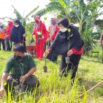 Kepala SMP Negeri 18 Surabaya Agustina Susi Utami (menyerahkan bibit) dibantu Wakasek Hadi Sanusi serta para guru melakukan penanaman bibit mangrove. (foto: YUDI A/BANGSAONLINE)