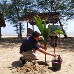 Branch Manager BRI Tuban, Ayub Burhan saat menanam pohon kelapa di Pantai Cemara, Desa Sugihwaras, Kecamatan Jenu.