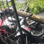 Beberapa sepeda motor yang tertimpa pohon tumbang di Jalan Panglima Polim, Kota Kediri. foto: ist.
