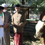 Wakil Wali Kota Batu Punjul Santoso saat menyerahkan hewan kurban berupa sapi jenis limousin di Masjid Agung An-Nuur.