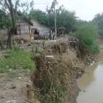 LONGSOR. Puluhan rumah di bantaran Sungai Bengawan Solo turut Desa Banjarjo, Kecamatan Padangan terancam longsor ke dalam sungai. (Eky Nurhadi/BANGSAONLINE)