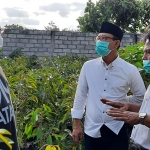Dhito (kiri) didampingi Ketua Tim Kampanye Budi "Kanang" Sulistyono, saat melihat langsung tanaman hias, sambil mendengarkan penjelasan Soim (paling kanan). (foto: MUJI HARJITA/ BANGSAONLINE)