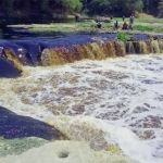Tampak air Sungai Bengawan Solo di Kecamatan Ngraho Bojonegoro berwarna hitam. Perubahan warna air sungai itu diduga akibat terkena limbah industri batik dari Jateng. foto: EKY NURHADI/ BANGSAONLINE