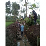 Program Padat Karya yang didanai dari Dana Desa di Desa Curahpoh Kecamatan Curahdami.