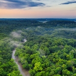 Ilustrasi Sungai Amazon