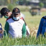 Bupati Situbondo, Karna Suswandi, didampingi Kepala Dinas TPHP, Haryadi Tejo Laksono, saat memantau perkembangan tanaman padi BK 900 di Desa Sumberkolak, Kecamatan Panarukan.