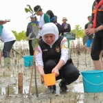 Gubernur Jawa Timur, Khofifah Indar Parawansa, saat menanam bibit mangrove.