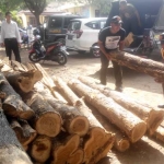 Tampak sejumlah kayu jati saat diamankan ke Mapolres Situbondo. foto: MURSIDI/ BANGSAONLINE