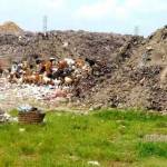 OVERLOAD: Gundukan sampah di TPA Randegan Mojokerto. foto: buana