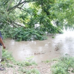 Seorang warga sedang memantau ketinggian air Sungai Bengawan Solo.