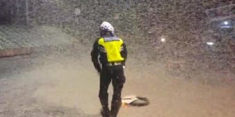 Ketika Jutaan Laron Menyerbu Jalan Hayam Wuruk Kota Mojokerto, Pengendara Pilih Putar Balik
