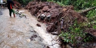 Tangkis Sungai yang Ambrol di Desa Joho Kediri akan Dipasangi Sesek dan Glangsing