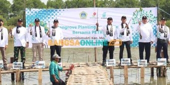 Pemkab Gresik Bersama Petronas dan SKK Migas Tanam 10.000 Mangrove di Manyar