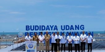 Presiden Jokowi akan Bangun Tambak Budi Daya Udang Berbasis Kawasan di Waingapu NTT