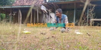 ​40 Tahun Menderita Penyakit Hernia, Kakek Tua di Sampang Butuh Bantuan