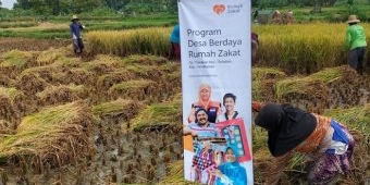 ​Pupuk Subsidi Langka, Rumah Zakat Bantu Petani di Tlanakan Pamekasan