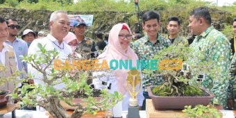 Ribuan Bonsai Bernilai Miliaran Rupiah Dipamerkan di Gresik