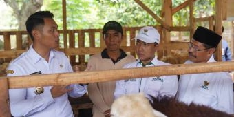 Baznas Luncurkan Balai Ternak di Tuban, Bupati Lindra: Demi Masyarakat Sejahtera
